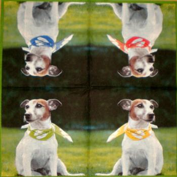 052 Dogs - 3-ply - Ihr - CS